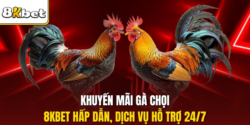 Khuyến mãi Gà chọi 8kbet hấp dẫn, dịch vụ hỗ trợ 24/7.