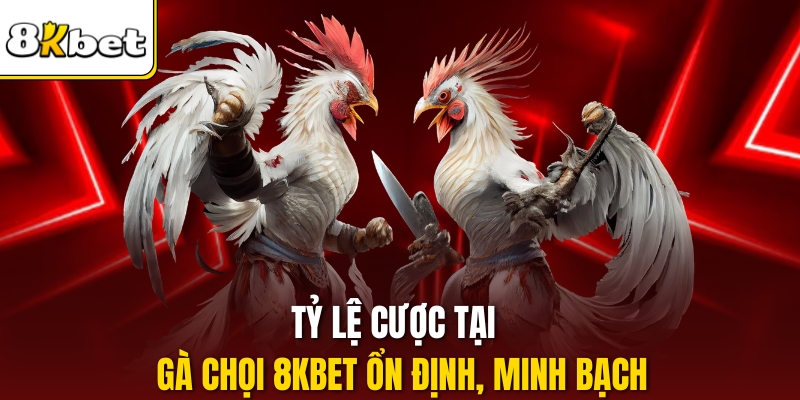 Tỷ lệ cược tại Gà chọi 8kbet ổn định, minh bạch.