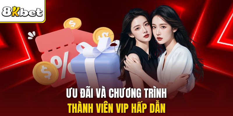 Ưu đãi và chương trình thành viên VIP hấp dẫn